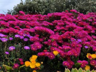 бачок омывателя Audi A4 B8/8K 2009, 2.0 л., CAHA, дизель, АКПП, седан, правый руль