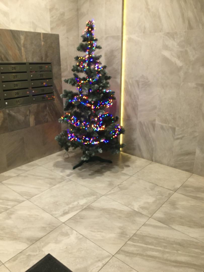 молдинг переднего бампера BMW 2011 - фото №1