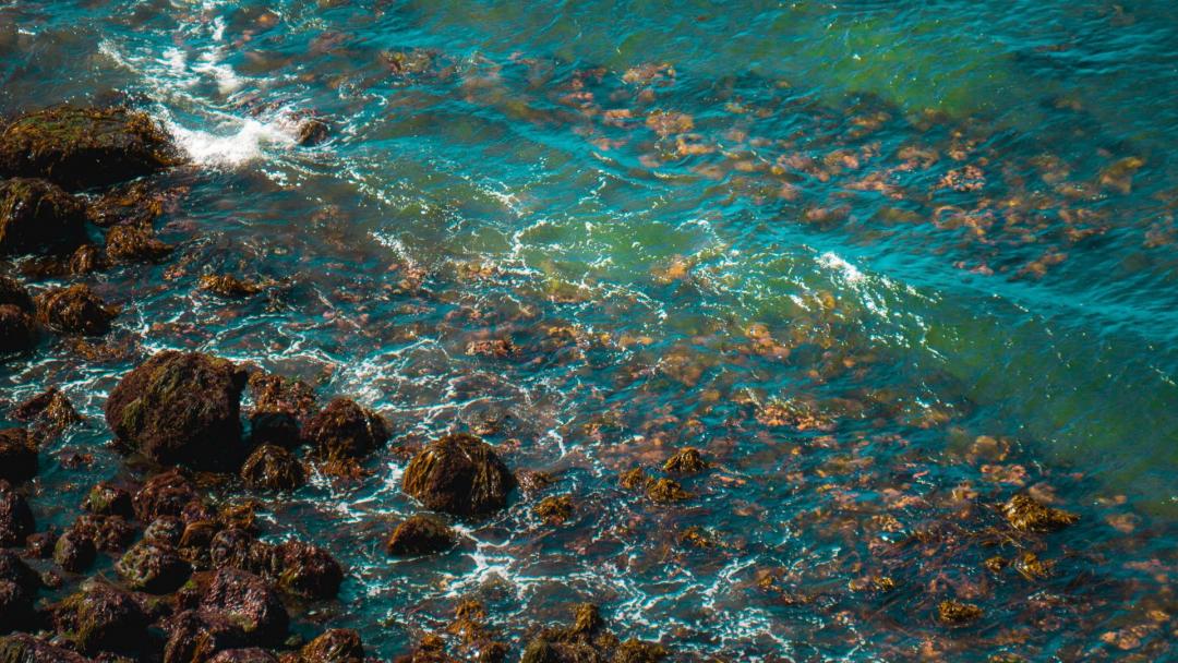 диск литой Audi 100 4A/C4 1994, 2.5 л., бензин, правый руль - фото №1