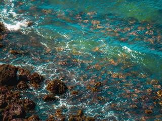 диск литой BMW 5 серия E60/E61 [рестайлинг] E60 2010, 1.5 л., B38 B15 A, бензин, кабриолет