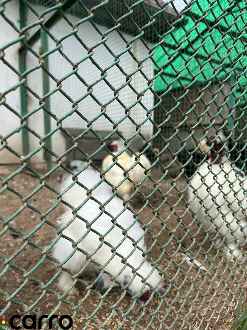 диск литой BMW - фото №1