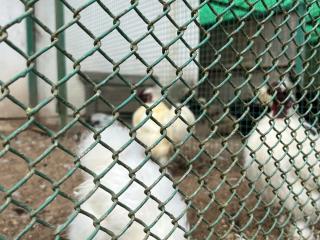 диск литой BMW