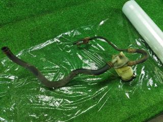 бачок гидроусилителя Chevrolet TrailBlazer 1 поколение [рестайлинг] 2006, 4.2 л., бензин, АКПП, серый, внедорожник 5 дв., полный привод