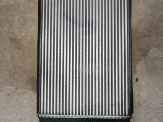 интеркулер Volkswagen Golf 5 поколение 2008, 1.4 л., BLG, бензин, АКПП, красный, универсал, правый руль