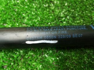 амортизатор крышки багажника (3-5 двери) Nissan Murano Z51 2008, 9467XH0550N