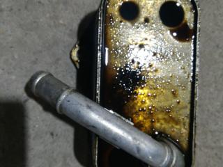 теплообменник масляного фильтра BMW 5 серия F07/F10/F11 [рестайлинг] F10 2013, 2.0 л., бензин, АКПП, белый, седан, полный привод, 7525333