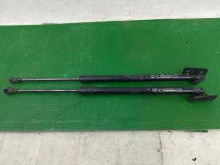 амортизатор крышки багажника (3-5 двери) Chevrolet Captiva 1 поколение [рестайлинг] C140 2012, 3.0 л., LF1, бензин, АКПП, черный, внедорожник 5 дв., полный привод, правый руль, 95494360