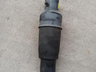 амортизатор задний Infiniti QX80 1 поколение Z62 2014, 5.6 л., VK56DE, бензин, АКПП, белый, внедорожник 5 дв., задний привод