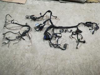 проводка двигателя Chevrolet Captiva 1 поколение [рестайлинг] C140 2012, 3.0 л., LF1, бензин, АКПП, черный, внедорожник 5 дв., полный привод, правый руль