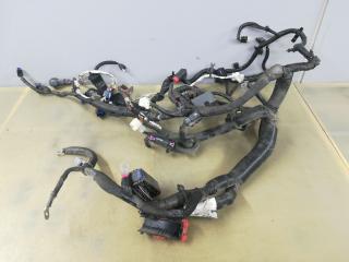 проводка двигателя Dodge Journey 1 поколение [рестайлинг] 2015, 3.6 л., бензин, АКПП, черный, внедорожник 5 дв., правый руль, Z44017396