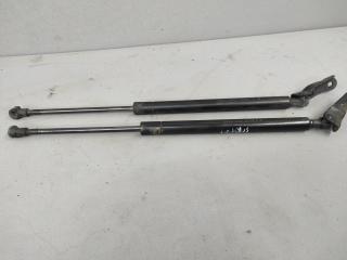 амортизатор крышки багажника (3-5 двери) Toyota Matrix 1 поколение (E130) ZZE130 2003, 1.8 л., 1ZZ-FE, бензин, АКПП, хетчбэк 5 дв., передний привод, 6896002040A, 6895002050A