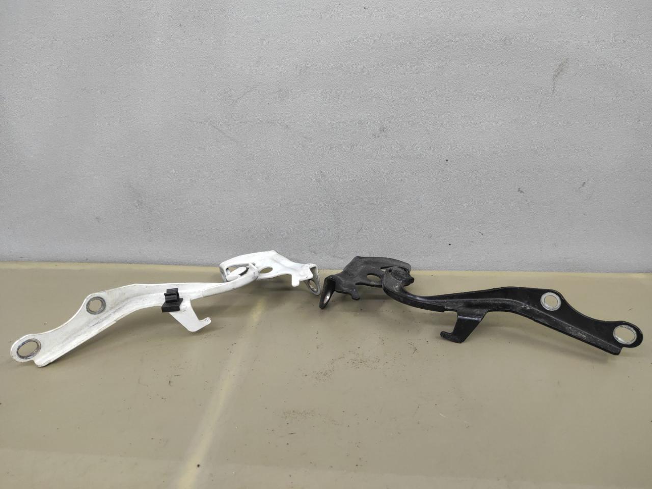 петля капота Toyota Sienna 3 поколение 2014, 3.5 л., 2GR-FE, бензин, АКПП, черный, передний привод - фото №1