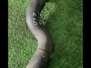 патрубок радиатора Infiniti G 4 поколение 2008, 3.7 л., бензин, АКПП, купе, задний привод