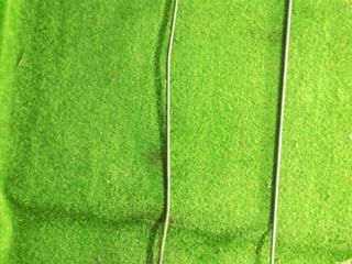 амортизатор крышки багажника (3-5 двери) Mazda 3 BL 2010, 2.0 л., i, LF17, бензин, МКПП, серый, седан, передний привод