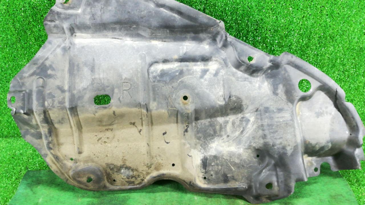 защита двигателя Toyota Camry 7 поколение XV40 2009, 2.4 л., i, 2AZ-FE, бензин, АКПП, белый, седан, передний привод - фото №1