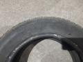 шина  - фото №2