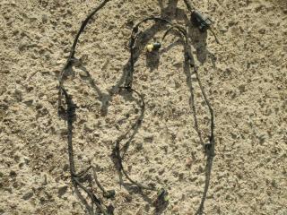 проводка датчиков парковки BMW 5 серия F07/F10/F11 2011, 3.0 л., D, N57 D30 A, дизель, АКПП, хетчбэк 5 дв., задний привод, правый руль, 9210770, 9210769