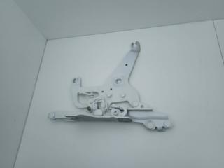 петля капота левая BMW X6 F16 2018, 4.0 л., дизель, АКПП, внедорожник 5 дв., полный привод, 7294529