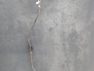 разъем (фишка) проводки BMW 1 серия F40 2020, 1.5 л., i, B38 A15 A, бензин, АКПП, b39, хетчбэк 5 дв., задний привод, правый руль, 6992166