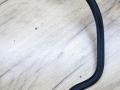 трубка вакуумная BMW X1 F48 [рестайлинг] F48 2021, 1.5 л., гибрид, a96, внедорожник 5 дв., полный привод, 8642375, 11668642375 - фото №2