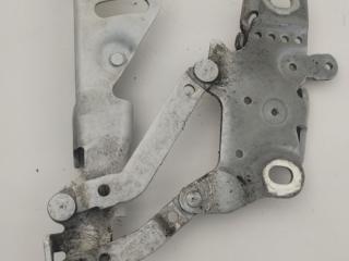 петля капота правая BMW 3 серия F30/F31/F34 [рестайлинг] F31 2015, 2.0 л., N47 D20 C, дизель, АКПП, белый, универсал, задний привод, правый руль