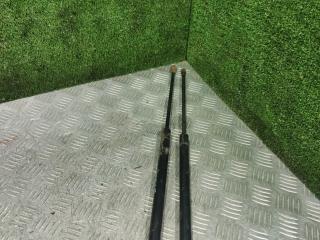 амортизатор крышки багажника (3-5 двери) Fiat Palio 1 поколение 2000, 1.2 л., бензин, МКПП, универсал