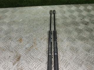 амортизатор крышки багажника (3-5 двери) Fiat Punto 2 поколение 2000, 1.2 л., бензин, МКПП, хетчбэк 5 дв.