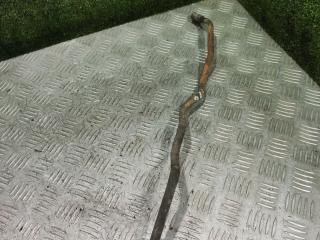 масляная трубка Opel Sintra 1 поколение 1998, 2.2 л., X 22 XE, бензин, МКПП, минивэн