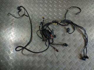 проводка двигателя BMW 5 серия F10/F11 [рестайлинг] 2015, 3.0 л., N55 B30 A, бензин, 12527591981