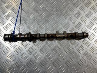 распредвал Audi A8 D3 [рестайлинг] 2007, 4.2 л., BVJ, бензин, седан, 079109102BH, 079109102CG