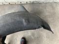 защита арок задняя правая (подкрылок) BMW 7 серия F01/F02 [рестайлинг] 2014, 4.4 л., N63 B44 B, бензин, АКПП, 136488-15 - фото №5