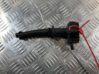 катушка зажигания Land Rover Range Rover Sport 1 поколение [рестайлинг] 2011, 5.0 л., 508PS, бензин, внедорожник 5 дв., 0221604022, 8W93-12A366-DA