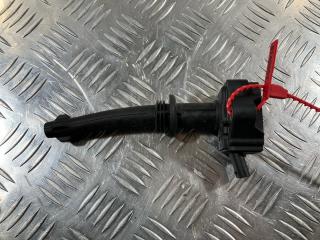 катушка зажигания Land Rover Range Rover Sport 1 поколение [рестайлинг] 2011, 5.0 л., 508PS, бензин, внедорожник 5 дв., 0221604022, 8W93-12A366-DA