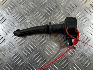 катушка зажигания Land Rover Range Rover Sport 1 поколение [рестайлинг] 2011, 5.0 л., 508PS, бензин, внедорожник 5 дв., 0221604022, 8W93-12A366-DA
