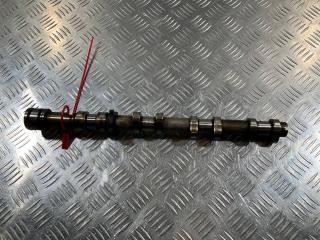 распредвал Audi A8 D3 [рестайлинг] 2007, 4.2 л., BVJ, бензин, седан, 079109102BG, 079109102CF