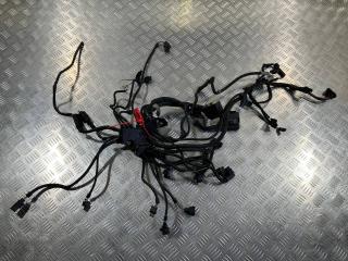 проводка двигателя BMW 7 серия F01/F02 [рестайлинг] 2014, 4.4 л., N63 B44 B, бензин, седан, 7633255