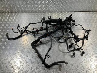 проводка двигателя Porsche Panamera 970 2011, 3.6 л., M 46.20, бензин, АКПП, хетчбэк 5 дв., 94860715500, 94860716100, 94860725100, 94860716500