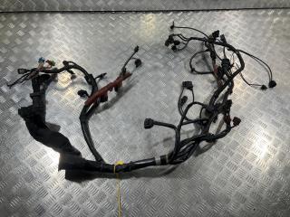 проводка двигателя Audi A8 D3 [рестайлинг] 2007, 4.2 л., BVJ, бензин, седан, 4E1971713DD