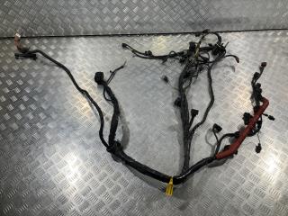 проводка двигателя Audi Q7 4L 2006, 4.2 л., BAR, бензин, внедорожник 5 дв.