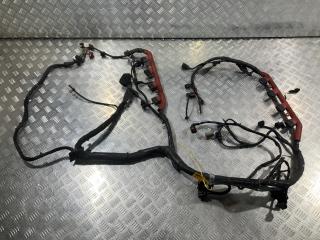 проводка двигателя Audi Q7 4L 2008, 4.2 л., BAR, бензин, внедорожник 5 дв.