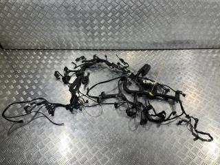 проводка двигателя Mercedes-Benz S-Класс W221 2005, 5.5 л., M 273.961, бензин, седан, A2730102202