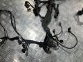 проводка двигателя Mercedes-Benz S-Класс W221 2005, 5.5 л., M 273.961, бензин, седан, A2730102202 - фото №4
