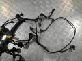 проводка двигателя Mercedes-Benz S-Класс W221 2005, 5.5 л., M 273.961, бензин, седан, A2730102202 - фото №9