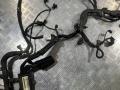 проводка двигателя Mercedes-Benz GL-Класс X164 [рестайлинг] 2011, 4.7 л., M 273.923, бензин, АКПП, внедорожник 5 дв., A2730109100 - фото №6