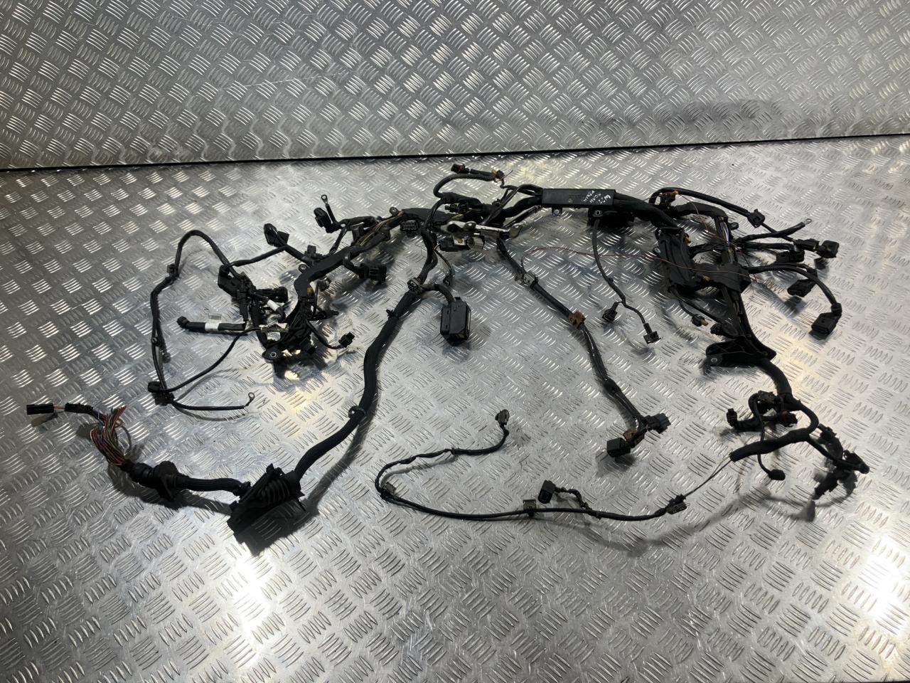 проводка двигателя Mercedes-Benz S-Класс W221 2007, 5.5 л., M 273.961, бензин, седан, A2730102202 - фото №1