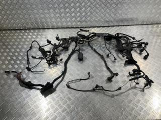 проводка двигателя Mercedes-Benz S-Класс W221 2007, 5.5 л., M 273.961, бензин, седан, A2730102202