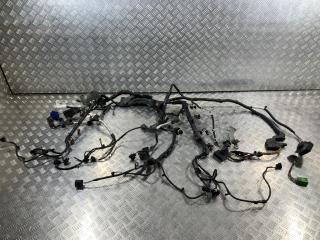 проводка двигателя Land Rover Range Rover Sport 1 поколение [рестайлинг] 2010, 5.0 л., 508PS, бензин, внедорожник 5 дв., AH23-12B637-BF