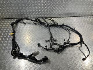 проводка двигателя Infiniti FX35 2 поколение 2010, 3.5 л., VQ35HR, бензин, внедорожник 5 дв.