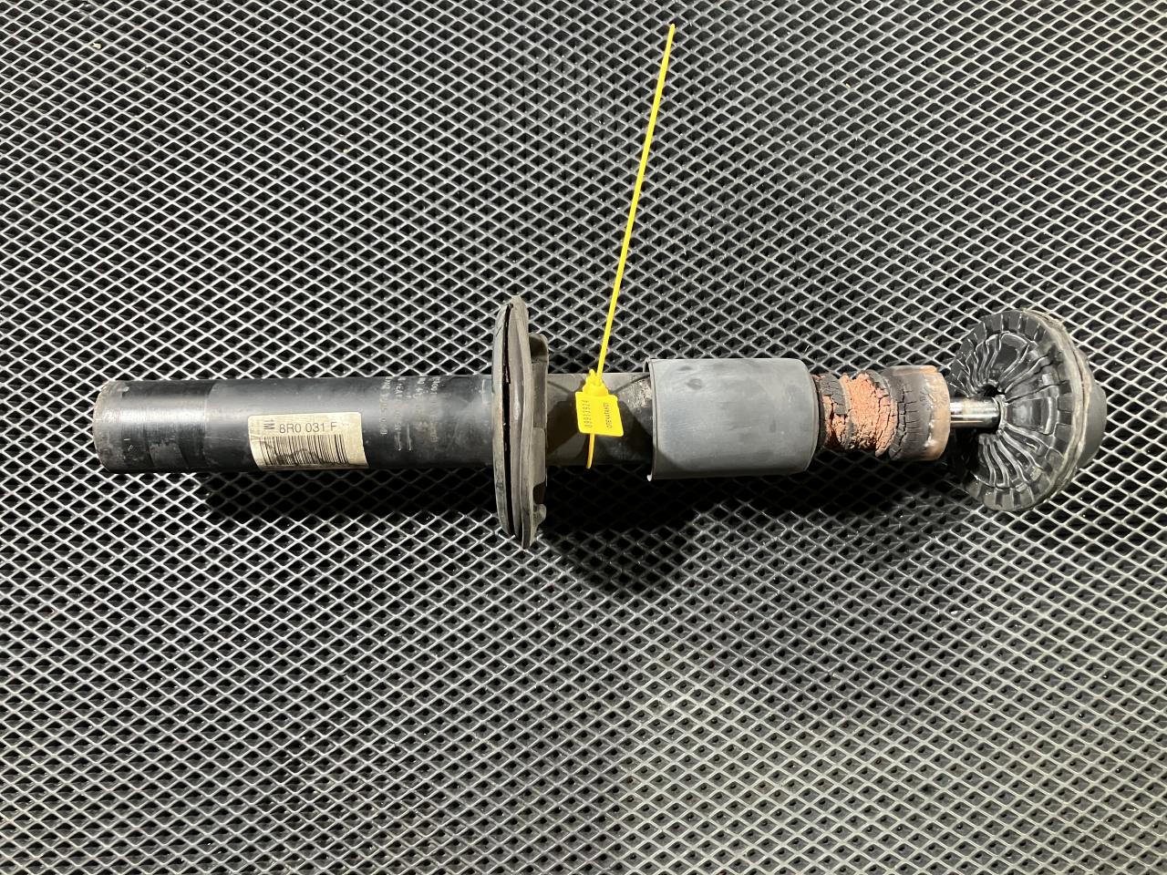 амортизатор передний Audi Q5 8R 2009, 3.2 л., CALB, бензин, АКПП, внедорожник 5 дв., 8R0413031F, 8R0031F - фото №1