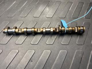 распредвал Audi A8 D3 [рестайлинг] 2007, 4.2 л., BVJ, бензин, седан, 079109102BH, 079109102CG